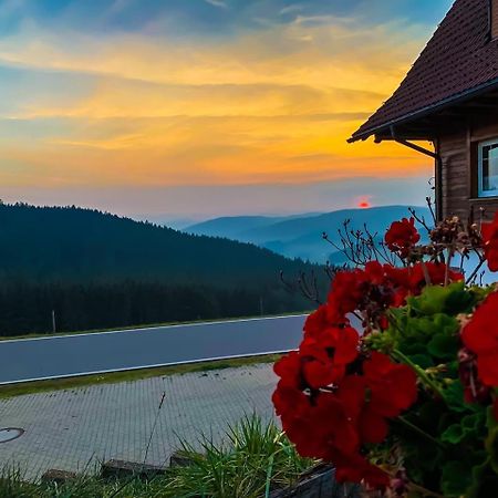 Pension Forsthaus Taele - Das Gaestehaus Vom Schwarzwaldgasthaus Salenhof ทิทิเซ-นอยชตัดท์ ภายนอก รูปภาพ
