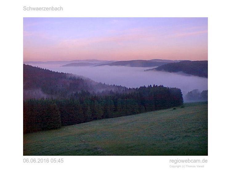 Pension Forsthaus Taele - Das Gaestehaus Vom Schwarzwaldgasthaus Salenhof ทิทิเซ-นอยชตัดท์ ภายนอก รูปภาพ