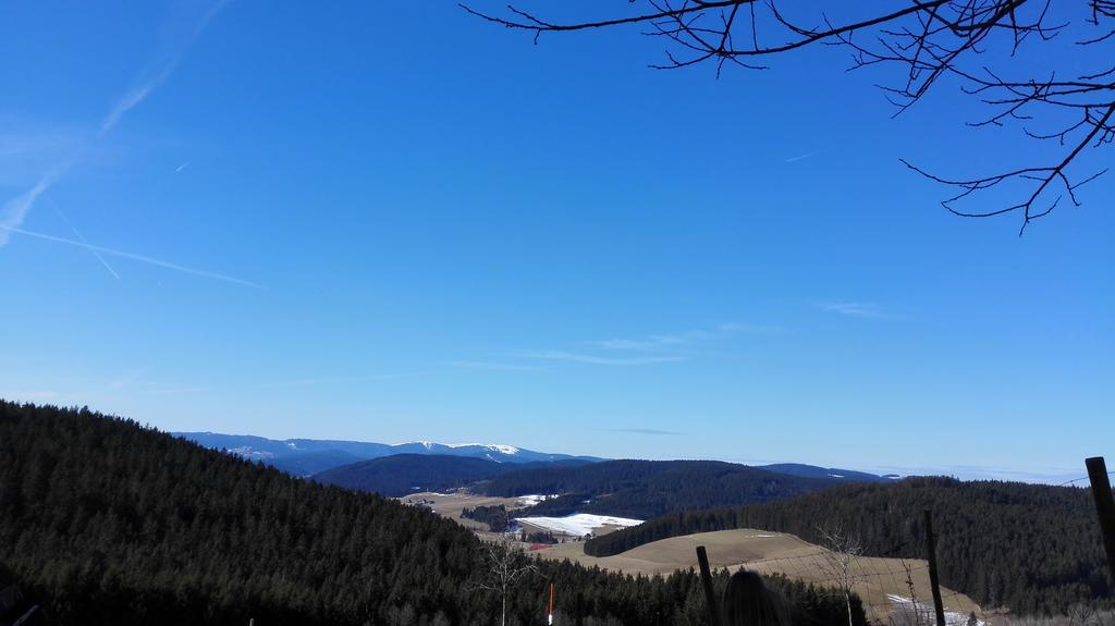 Pension Forsthaus Taele - Das Gaestehaus Vom Schwarzwaldgasthaus Salenhof ทิทิเซ-นอยชตัดท์ ภายนอก รูปภาพ