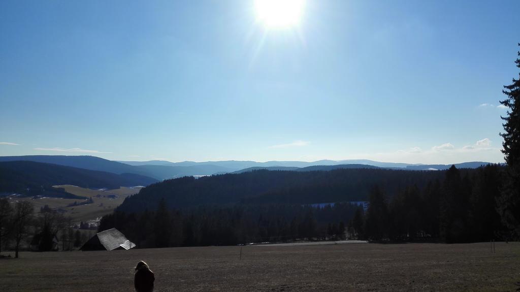 Pension Forsthaus Taele - Das Gaestehaus Vom Schwarzwaldgasthaus Salenhof ทิทิเซ-นอยชตัดท์ ภายนอก รูปภาพ