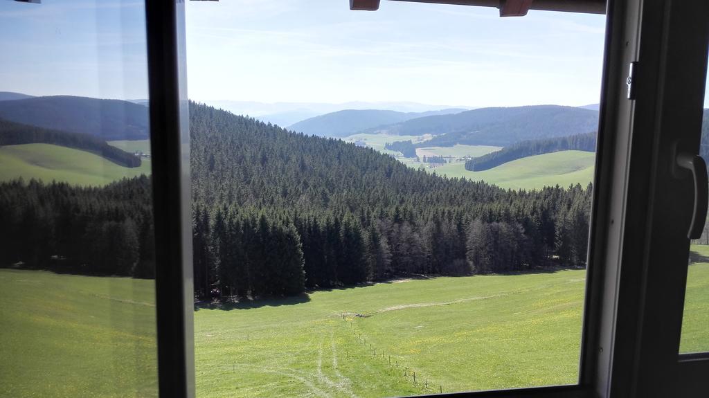 Pension Forsthaus Taele - Das Gaestehaus Vom Schwarzwaldgasthaus Salenhof ทิทิเซ-นอยชตัดท์ ภายนอก รูปภาพ