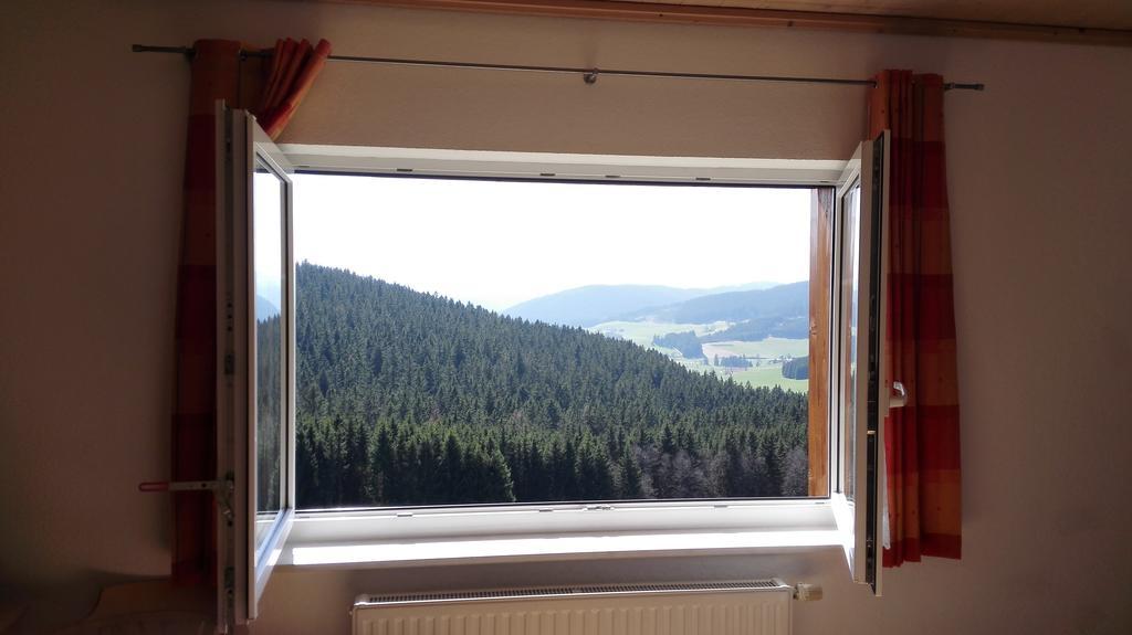 Pension Forsthaus Taele - Das Gaestehaus Vom Schwarzwaldgasthaus Salenhof ทิทิเซ-นอยชตัดท์ ภายนอก รูปภาพ