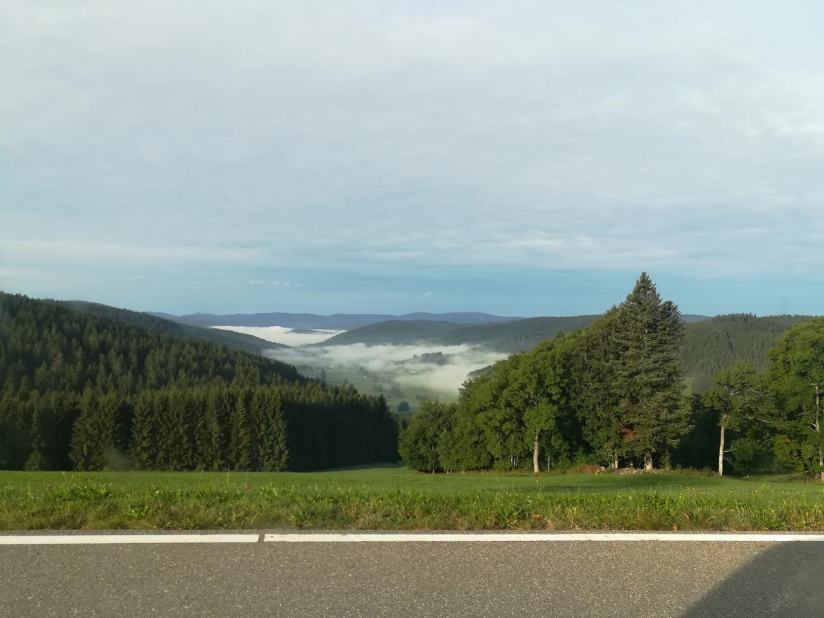 Pension Forsthaus Taele - Das Gaestehaus Vom Schwarzwaldgasthaus Salenhof ทิทิเซ-นอยชตัดท์ ภายนอก รูปภาพ