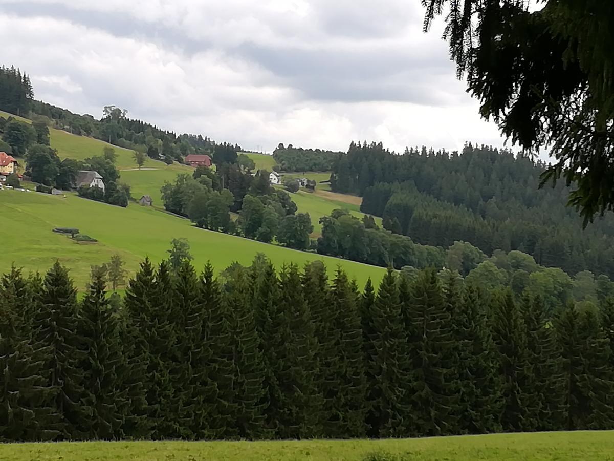 Pension Forsthaus Taele - Das Gaestehaus Vom Schwarzwaldgasthaus Salenhof ทิทิเซ-นอยชตัดท์ ภายนอก รูปภาพ