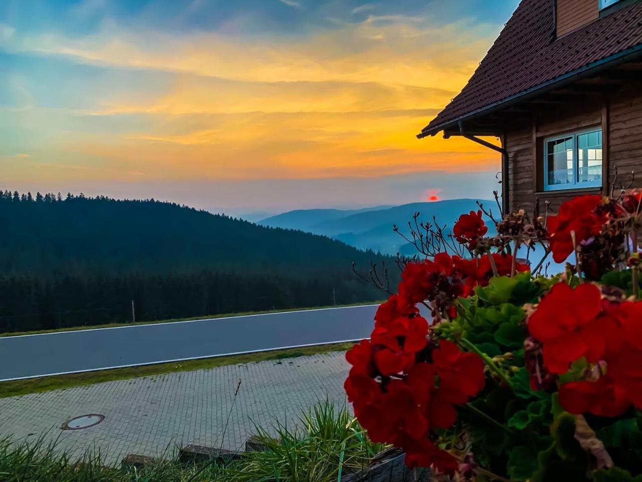 Pension Forsthaus Taele - Das Gaestehaus Vom Schwarzwaldgasthaus Salenhof ทิทิเซ-นอยชตัดท์ ภายนอก รูปภาพ